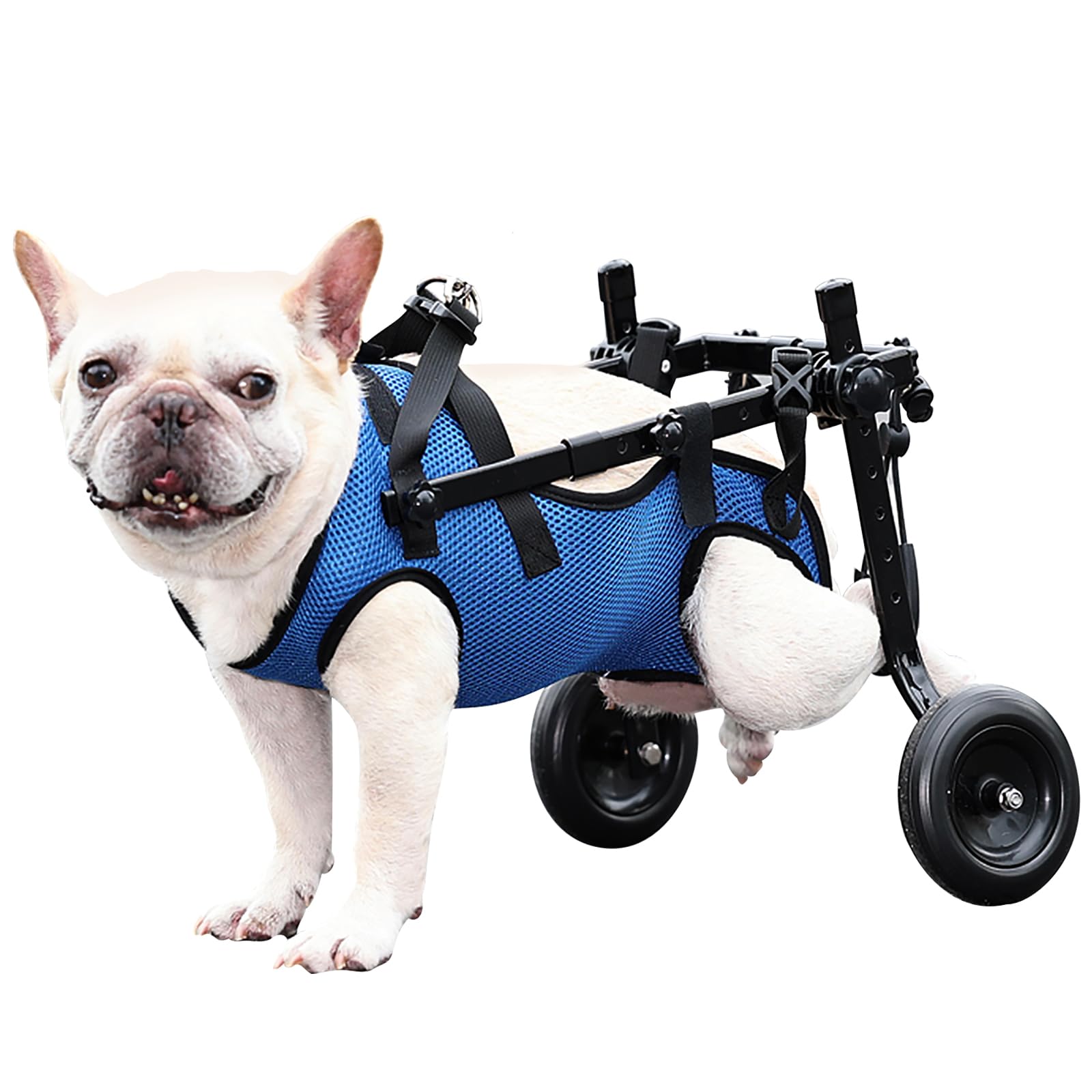 Dog Wheelchair for back legs