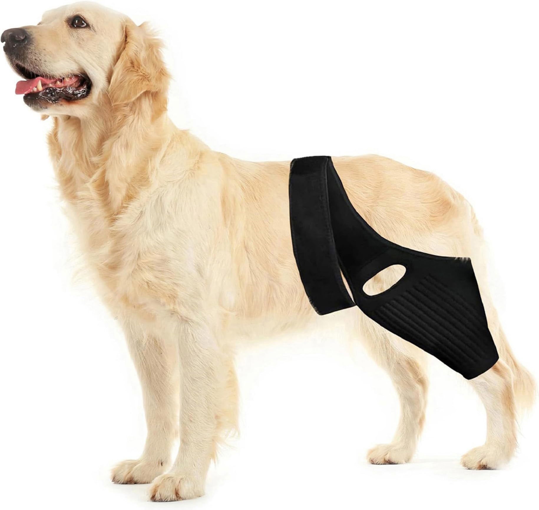 Dog Knee Brace for ACL Support